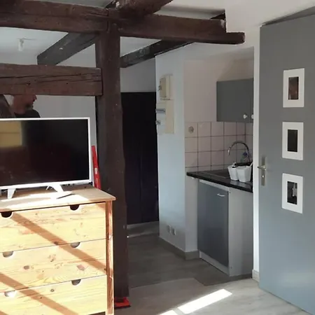 Apartment De Benedicte Ancienne Douane Colmar
