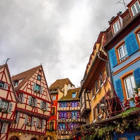 Apartment De Benedicte Ancienne Douane Colmar